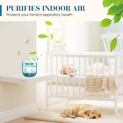 🔥 Limited-Time Pre-Sale⏰Indoor Air Purification Dust Removal Magic Box🏠🌿